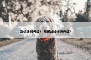 灰烬战线升级？ 灰烬战线快速升级？