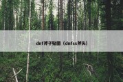 dnf斧子贴图（dnfss斧头）