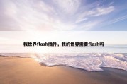 我世界flash插件，我的世界需要flash吗