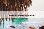原VN皮肤？ vn的原计划皮肤多少钱？