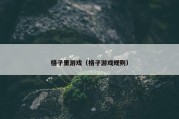 格子里游戏（格子游戏规则）