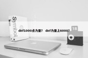 dnf1000点力量？ dnf力量上6000？