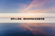 源字mc皮肤，我的世界源氏皮肤展开图