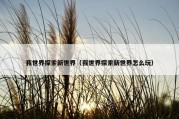 我世界探索新世界（我世界探索新世界怎么玩）