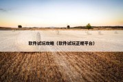 软件试玩攻略（软件试玩正规平台）