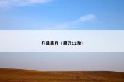 升级黑刀（黑刀12阶）