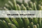 世界rpg史诗装备（世界rpg041装备大全）
