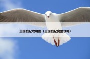 三国战纪攻略图（三国战纪完整攻略）