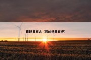 我世界石占（我的世界石矛）