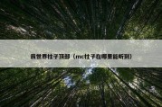 我世界柱子顶部（mc柱子在哪里能听到）