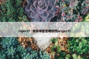 roject？ 微软项目管理软件project？