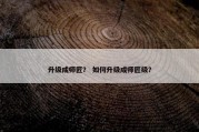 升级成师匠？ 如何升级成师匠级？