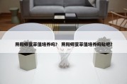 阴阳师萤草值培养吗？ 阴阳师萤草值培养吗贴吧？