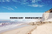 阴阳师提示音频？ 阴阳师音乐在哪打开？