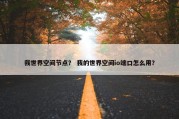 我世界空间节点？ 我的世界空间io端口怎么用？