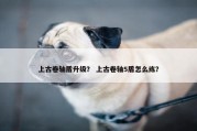 上古卷轴盾升级？ 上古卷轴5盾怎么练？