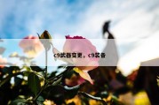 c9武器变更，c9装备