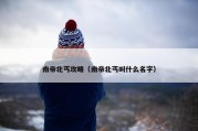 南帝北丐攻略（南帝北丐叫什么名字）