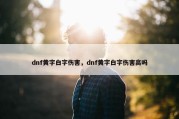 dnf黄字白字伤害，dnf黄字白字伤害高吗