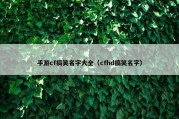 手游cf搞笑名字大全（cfhd搞笑名字）