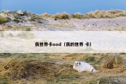 我世界卡ood（我的世界 卡）