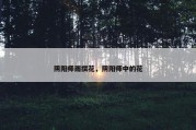 阴阳师雨撰花，阴阳师中的花