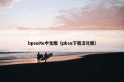 bpsuite中文版（pbsu下载汉化版）