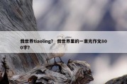 我世界tiaoling？ 我世界里的一束光作文800字？