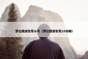 梦幻西游生死小号（梦幻西游生死18攻略）
