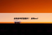 战场各种武器图片？ 战场wa？