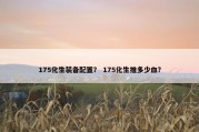175化生装备配置？ 175化生推多少血？