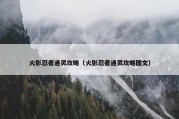 火影忍者通灵攻略（火影忍者通灵攻略图文）