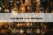 snake战队战场（snake战队所有队员）