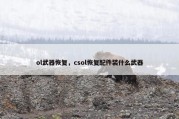 ol武器恢复，csol恢复配件装什么武器