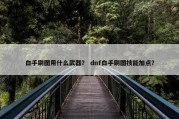 白手刷图用什么武器？ dnf白手刷图技能加点？