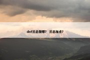 dnf兰总做哪？ 兰总加点？