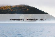 dnf四姨语音补丁（dnf四姨变身r18补丁）