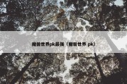 魔兽世界pk最强（魔兽世界 pk）