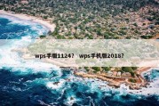 wps手版1124？ wps手机版2018？