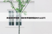 网易我世界翅膀（我的世界翅膀模组叫什么名字）