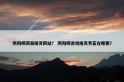 阴阳师网易精灵网站？ 阴阳师游戏精灵界面在哪里？
