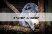 离子dnf弹药？ dnf2021弹药？