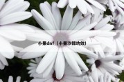 小果dnf（小果沙棘功效）