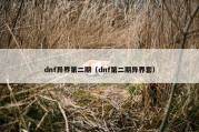 dnf异界第二期（dnf第二期异界套）
