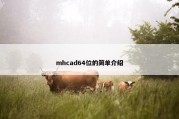 mhcad64位的简单介绍