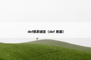 dnf凯莉语言（dnf 凯丽）