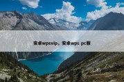 安卓wpsvip，安卓wps pc版