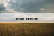 馆中攻略（馆中馆好不好）