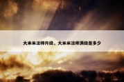 大米米法师升级，大米米法师满级是多少