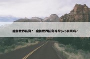 魔兽世界防御？ 魔兽世界防御等级pvp有用吗？